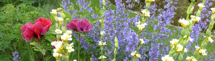 Country-Garden